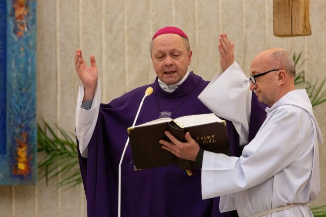 image:Image 54/source/orig/53123_frne5061.jpg