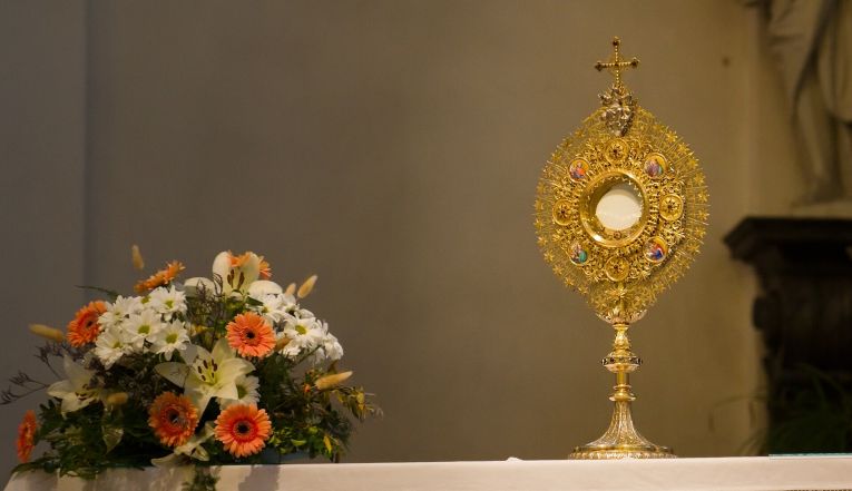 image:Image 54/source/orig/53447_2023-05-19-vis-img4064.jpg