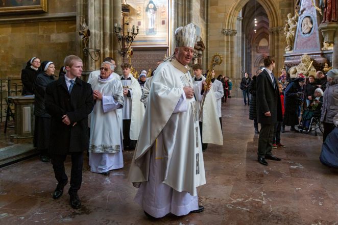 image:Image 54/source/orig/53732_frne5699.jpg