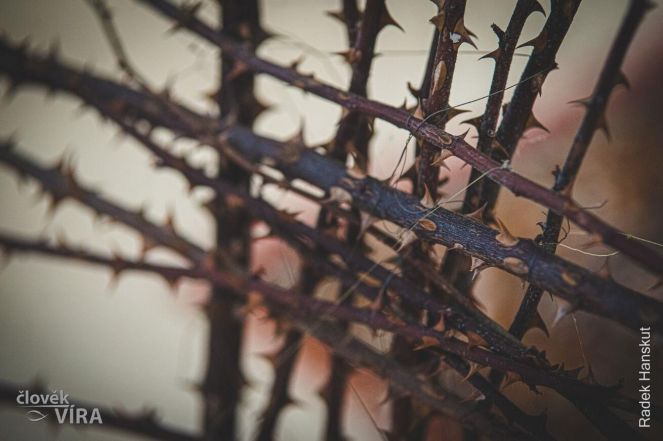 image:Image 55/source/orig/54419_35720_0_smrt-pohreb-trny.jpg