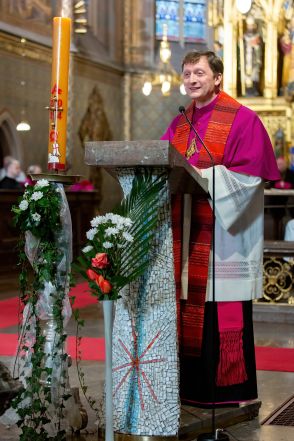 image:Image 55/source/orig/54546_frne7223.jpg