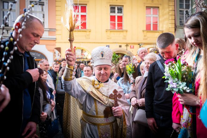 image:Image 56/source/orig/55365_hor7275.jpg