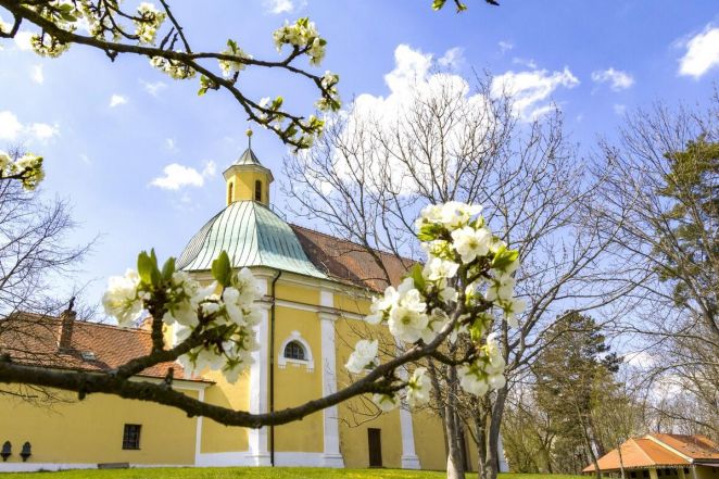 image:Image 56/source/orig/55540_36902_0_230422-strazci-antoninek-15.jpg