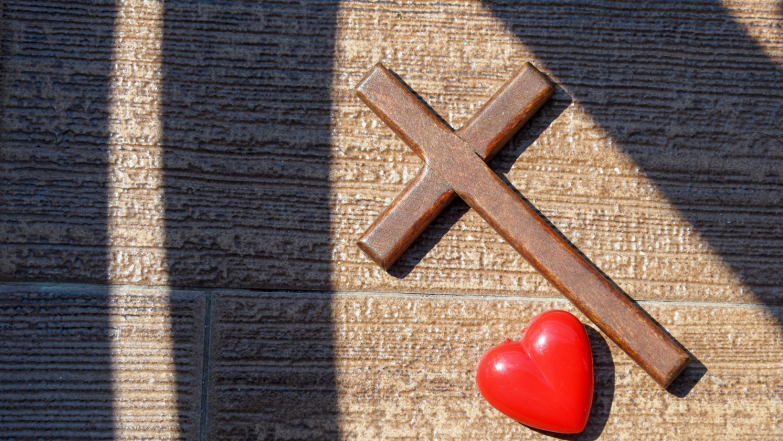 image:Image 56/source/orig/55732_fotky-k-clankum-na-web-4.png