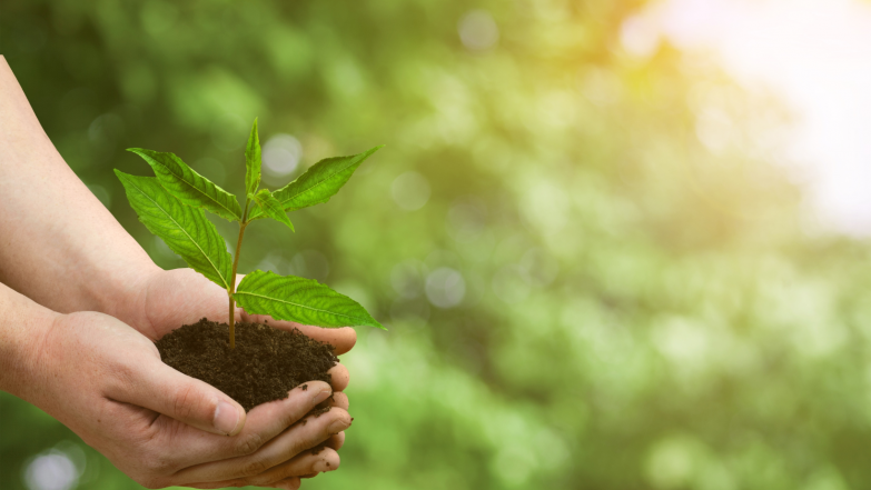 57/source/orig/56443_fotky-k-clankum-na-web-10.png image:Image 57/source/orig/56443_fotky-k-clankum-na-web-10.png