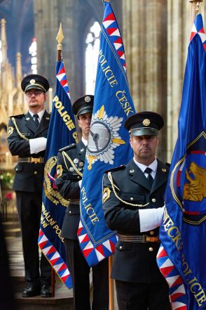 image:Image 57/source/orig/56791_frne9831.jpg