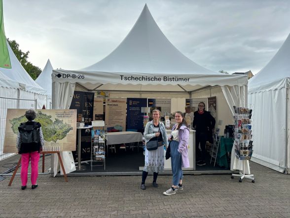 image:Image 58/source/orig/57557_whatsapp-image-2024-05-30-at-12-06-44-2.jpeg