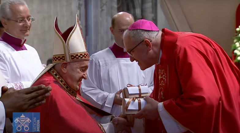 image:Image 59/source/orig/58728_39654_0_240629-rim-pallium.png