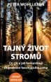 image:Image Tajný život stromů