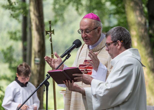 image:Image 60/source/orig/59134_img0628.jpg