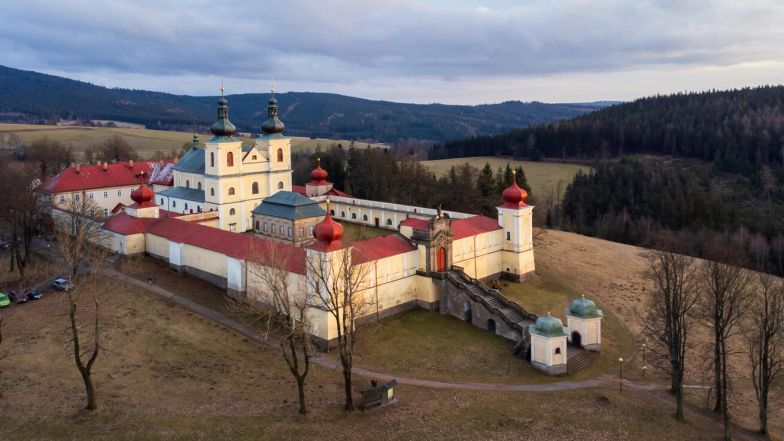 60/source/orig/59311_40245_0_polach_kraliky.jpg image:Image 60/source/orig/59311_40245_0_polach_kraliky.jpg