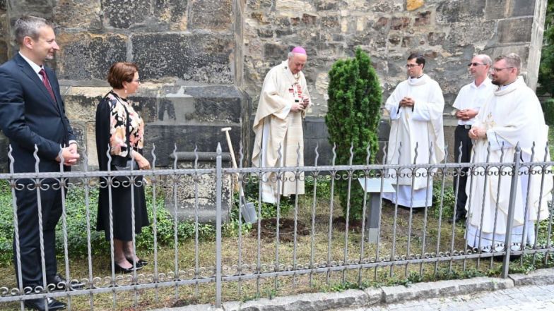 image:Image 60/source/orig/59392_40458_0_jindrich.jpg