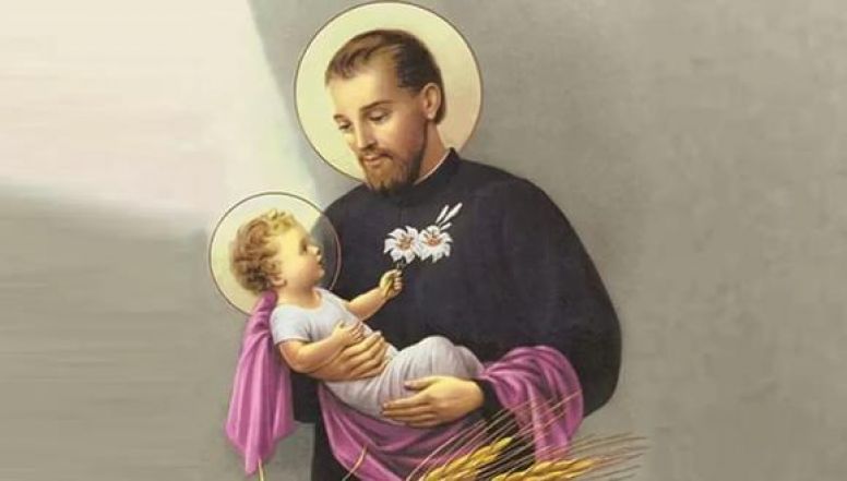 image:Image 61/source/orig/60091_nzpayg3ynbdble7xs3f7hgzu24.jpg