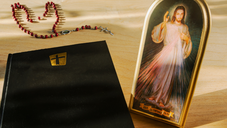 image:Image 61/source/orig/60118_fotky-k-clankum-na-web-27.png