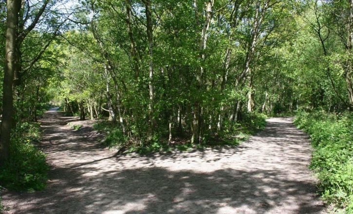 image:Image 61/source/orig/60631_41891_0_240821-konference-jabok-promeny-evangelizace.jpg