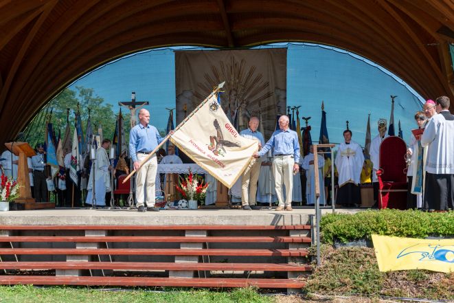 image:Image 61/source/orig/60793_lis3604.jpg