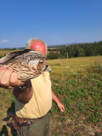 62/source/orig/61447_42610_0_240906-farmy-postolky-1-rotated.jpg image:Image 62/source/orig/61447_42610_0_240906-farmy-postolky-1-rotated.jpg