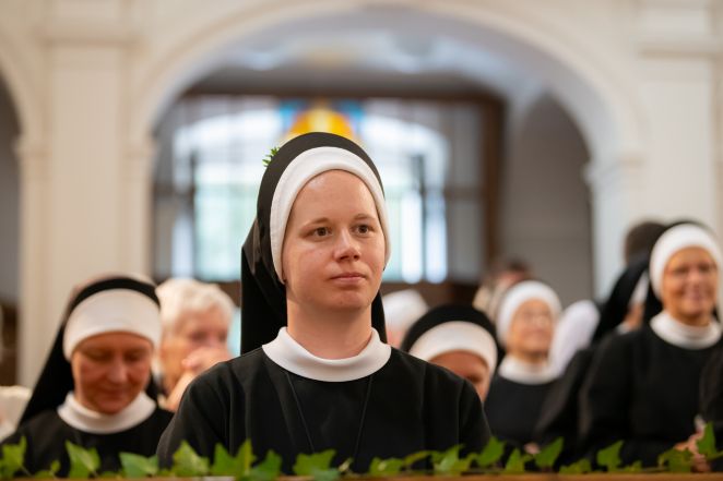 image:Image 62/source/orig/61484_hor4913.jpg