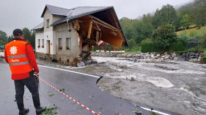 image:Image 63/source/orig/62069_43054_0_007787.jpg