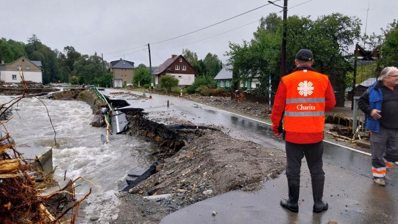 image:Image 63/source/orig/62092_007786.jpg