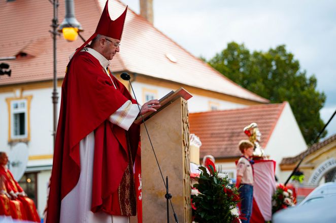 image:Image 63/source/orig/62462_hor5563.jpg