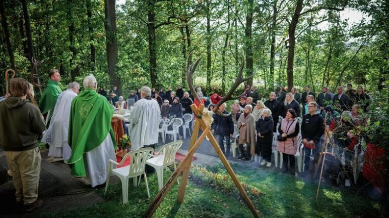 image:Image 64/source/orig/63323_44558_0_20241013-151958-8986-3v7a6765_cropped.jpeg