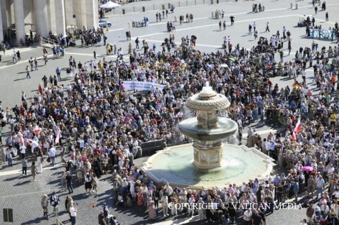 image:Image 64/source/orig/63404_cq5dam-web-800-800-294.jpeg