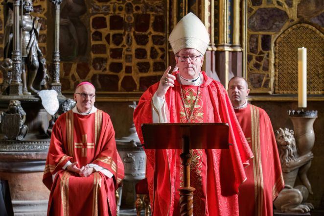 image:Image 64/source/orig/63964_frne4981.jpg