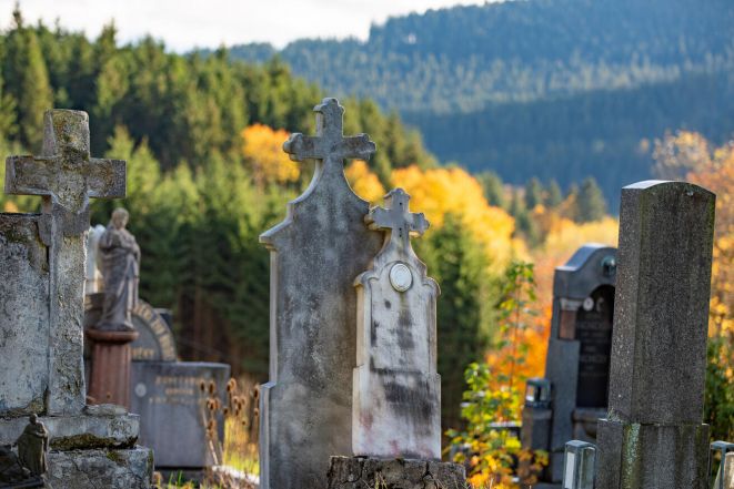 image:Image 64/source/orig/63973_45225_0_dso3925.jpg