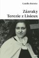 image:Image Zázraky Terezie z Lisieux