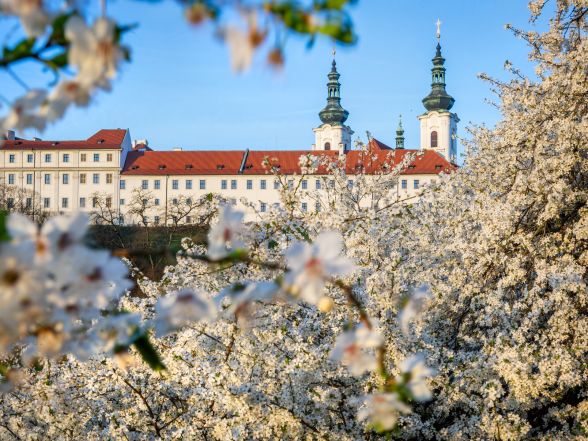 image:Image 66/source/orig/65127_mg5107.jpg