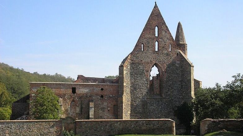 image:Image 66/source/orig/65332_rosa.jpeg