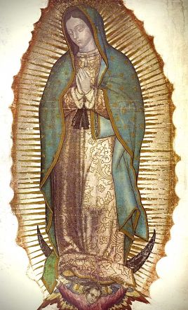 image:Image 66/source/orig/65623_santa-maria-de-guadalupe-img-5308-jpeg.jpg