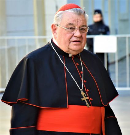 image:Image 66/source/orig/65865_dominik-kardinal-duka-2019.jpg