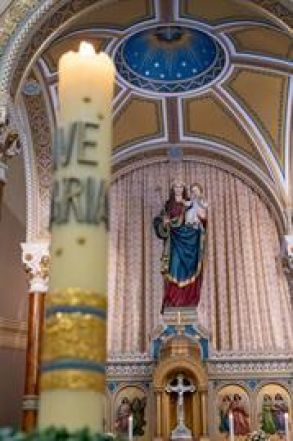 image:Image 66/source/orig/65879_47630_0_dsc-3779.jpg