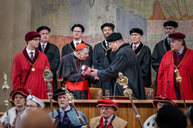 image:Image 67/source/orig/66284_angut-6299.jpg