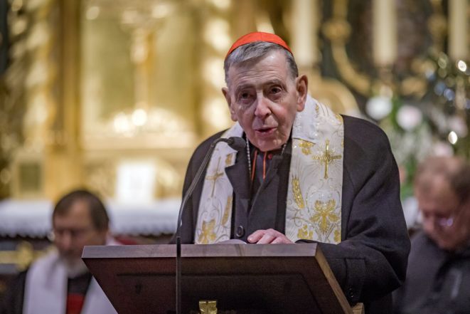 image:Image 67/source/orig/66285_20250108mamy-imgp7781.jpg