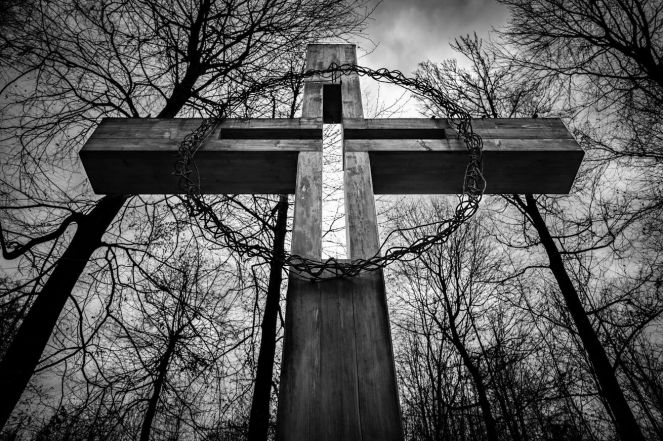 image:Image 68/source/orig/67939_50677_0_lurdy-20250209-174.jpg