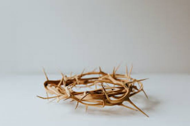 image:Image 68/source/orig/67971_stazeny-soubor-22.jpg