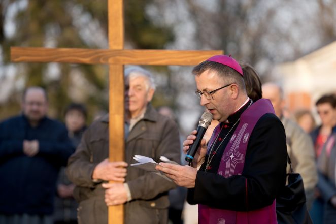 image:Image 69/source/orig/68391_dsc06293.jpg