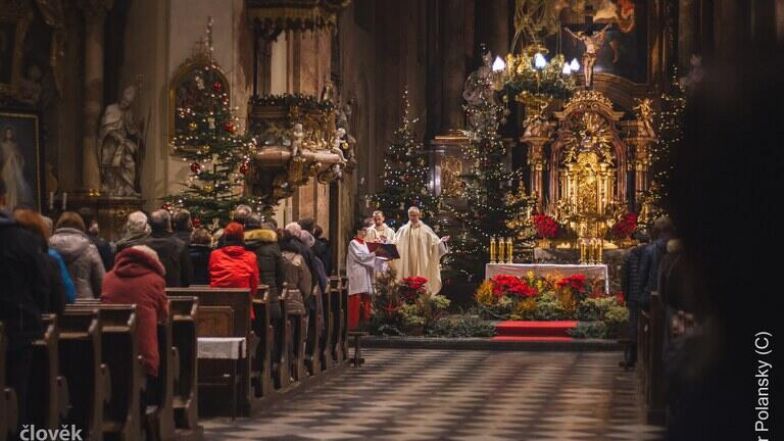 image:Image 7/source/orig/6262_2146_pp20191225-011640.jpeg