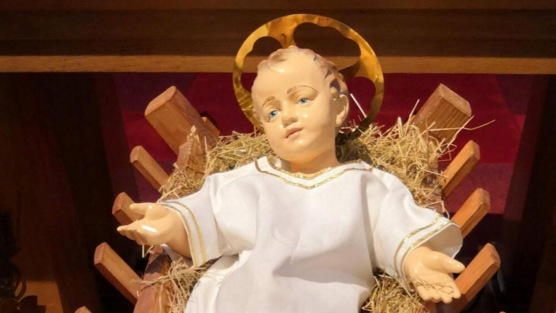 image:Image 7/source/orig/6264_2143_stipa-jezulatko_cropped_993x558.png