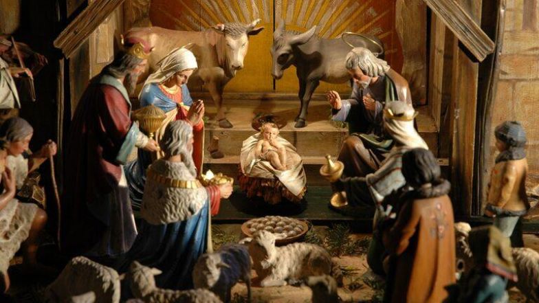 image:Image 7/source/orig/6374_2436_ba71a8f38844c7d7fabbdc8e8a72128a.jpeg