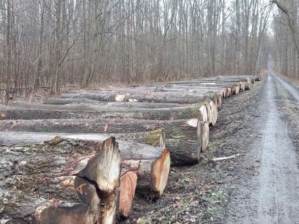 image:Image 7/source/orig/6459_2497_alsol-drivi.jpg