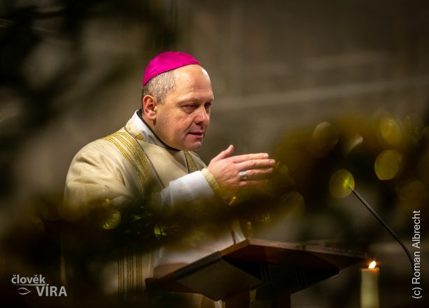 image:Image 7/source/orig/6478_al3474.jpg