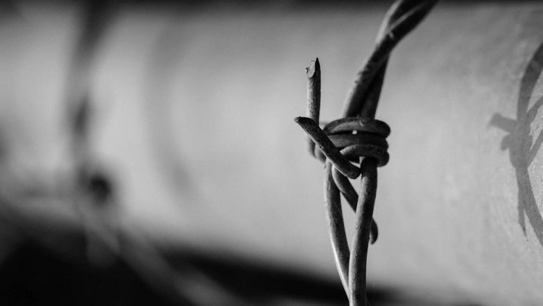 image:Image 7/source/orig/6894_3233_0_844.jpeg