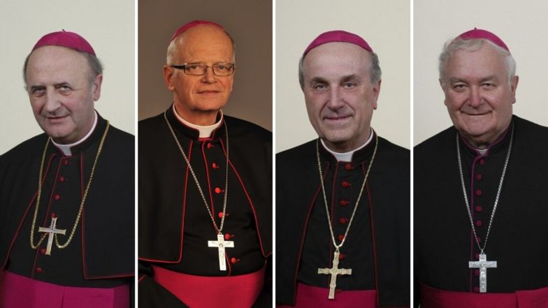 image:Image 70/source/orig/69463_ci-30173-m1440-biskupove.jpeg