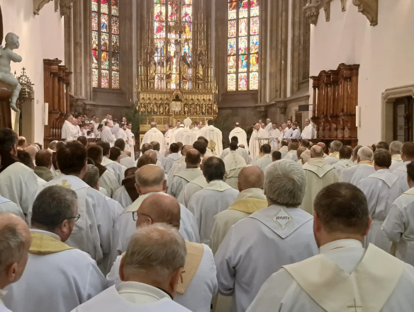 image:Image 71/source/orig/70001_snimek-obrazovky-2025-04-17-v-14-50-23.png