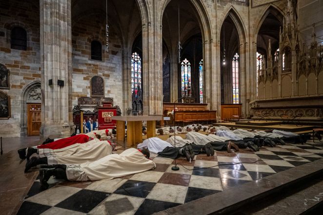 image:Image 71/source/orig/70043_angut-2701.jpg