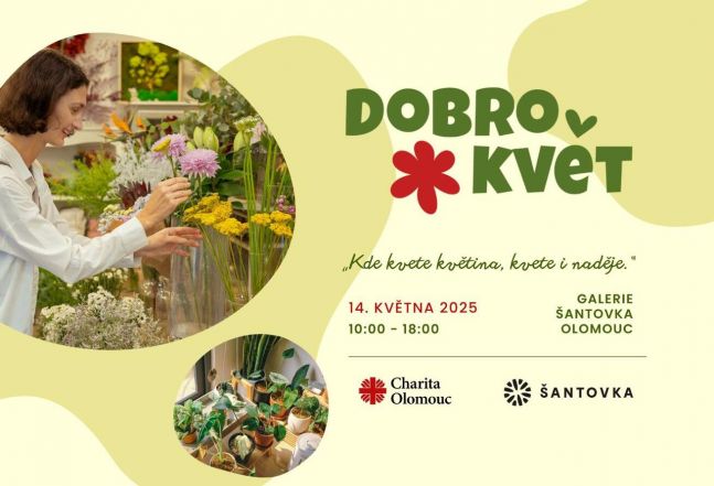 image:Image 71/source/orig/70958_54142_0_250506-dobrokvet.jpg